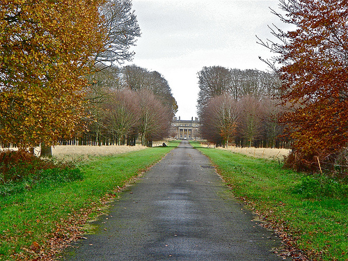 savernake forest