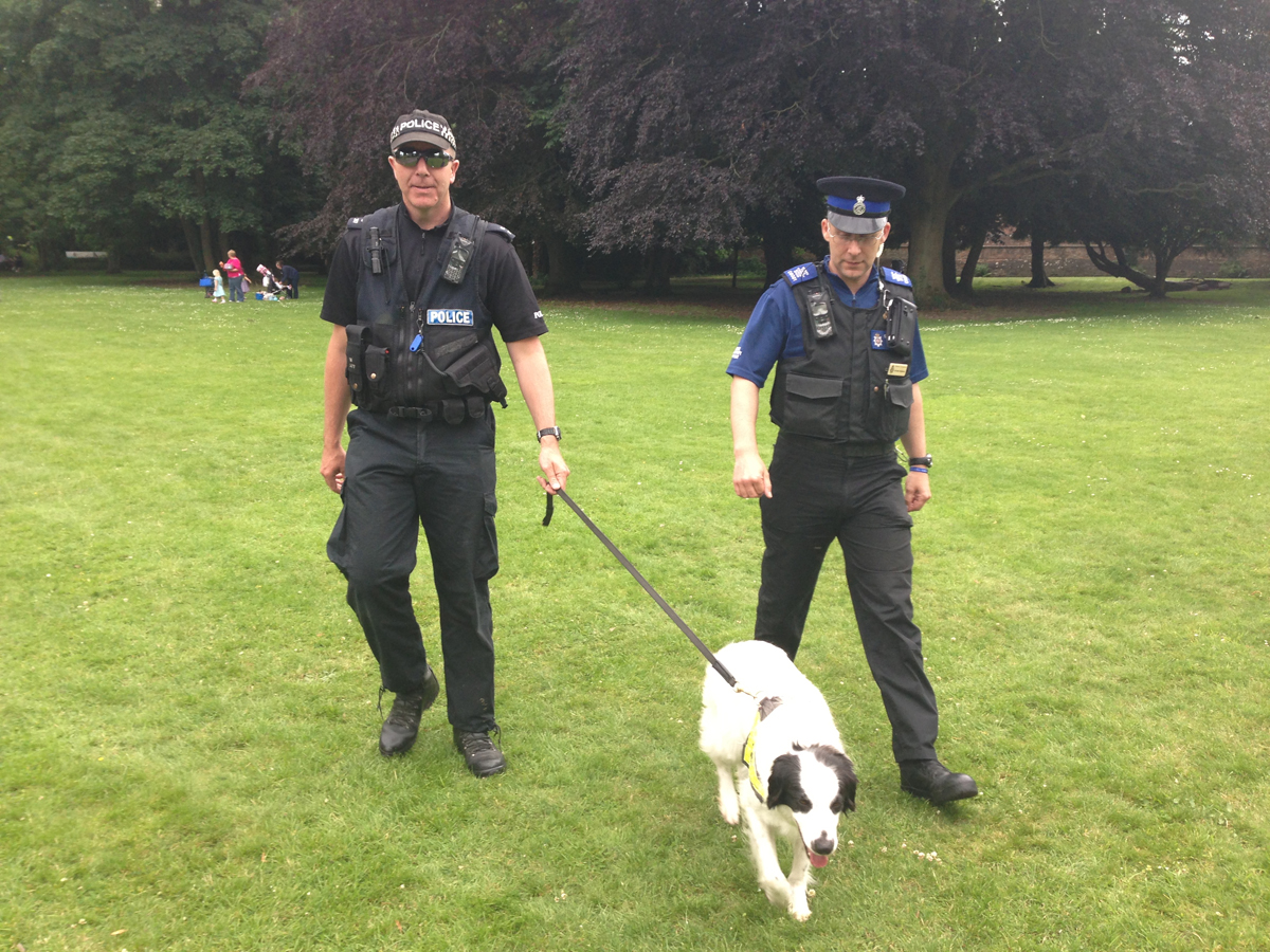 A sniffer dog looks for people carrying drugs in Marlborough's Priory Gardens