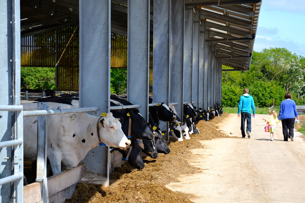 A family enjoying Open Farms Day