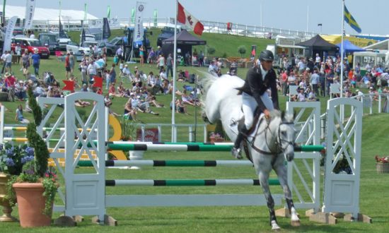 Andrew Nicholson on Avebury