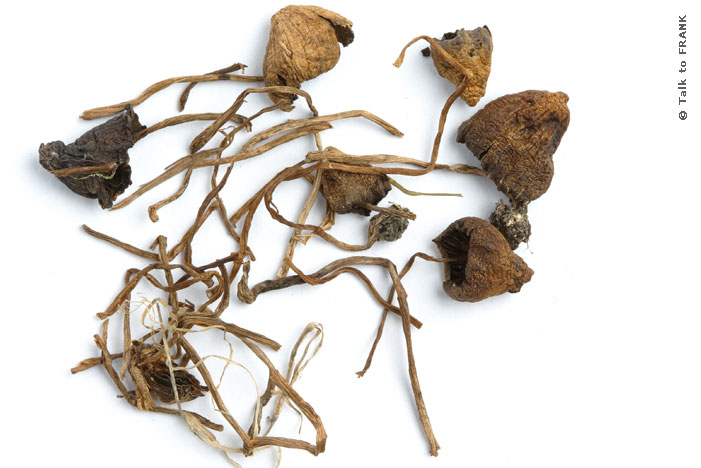 Image courtesy of http://www.talktofrank.com