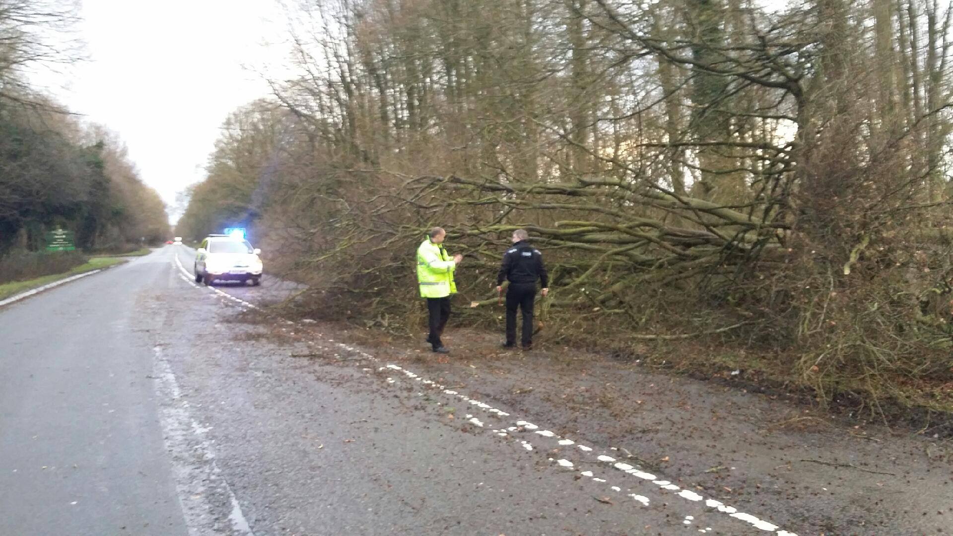 Picture by Marlborough Neighbourhood Policing Team