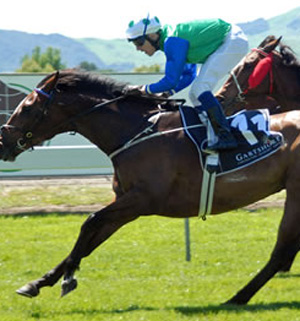 Robert Sangster's racing colours
