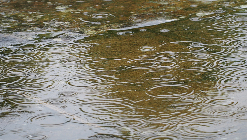 RAIN 250814 800
