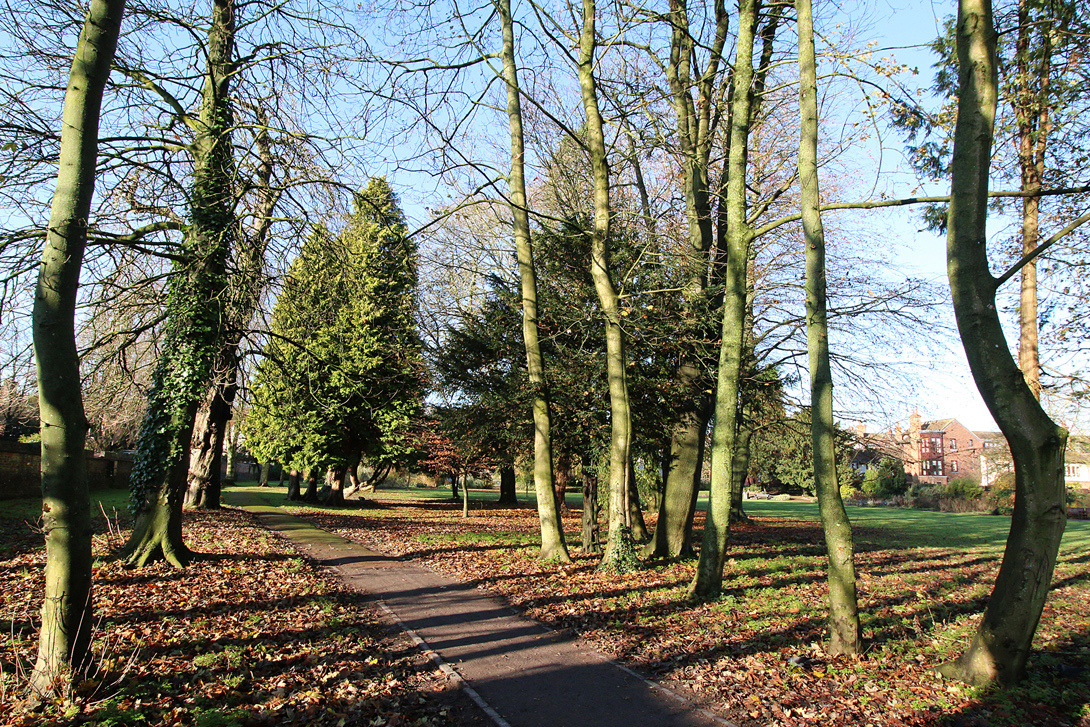 Bare trees in Priory Gardens with shadows in low sun on 2nd December