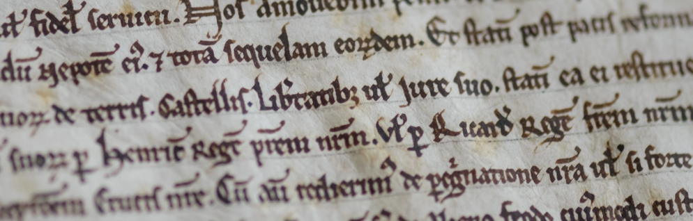 A section of the Salisbury copy
