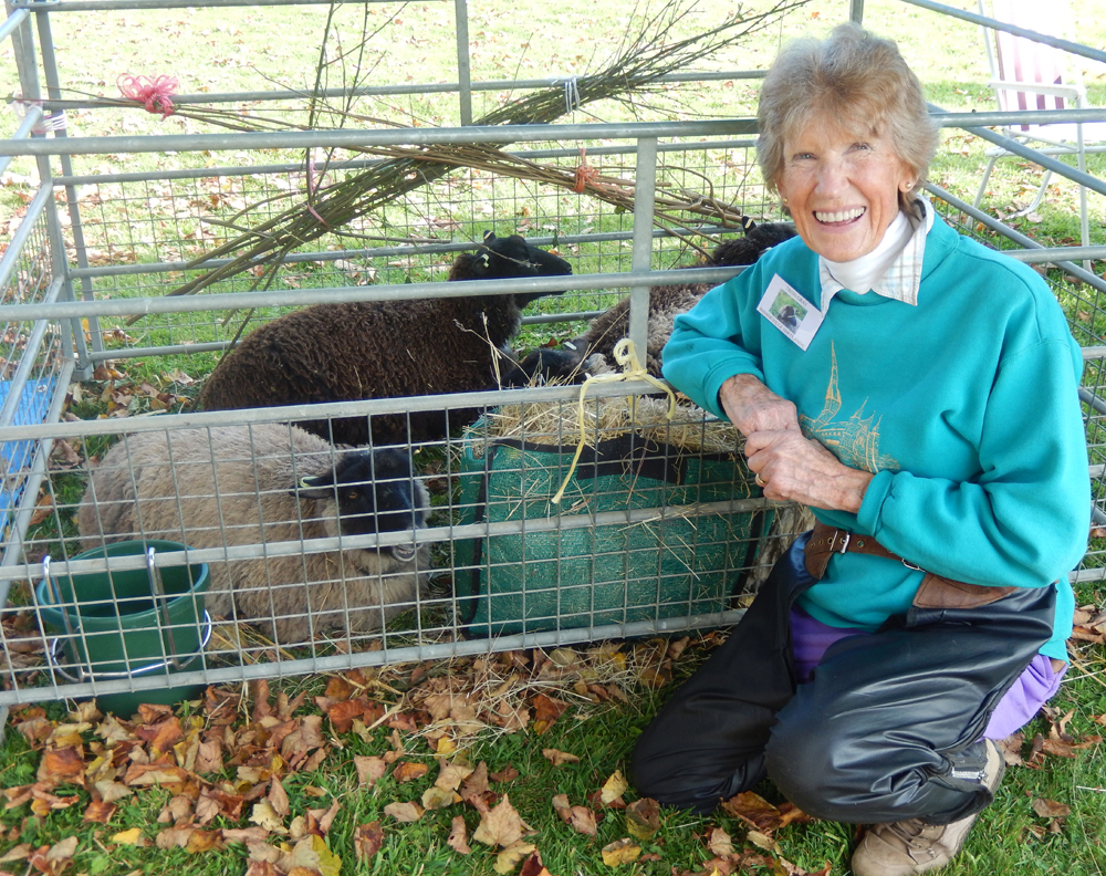 Trish Gray with the sheep (Photo Abby George. Copyright The National Trust)