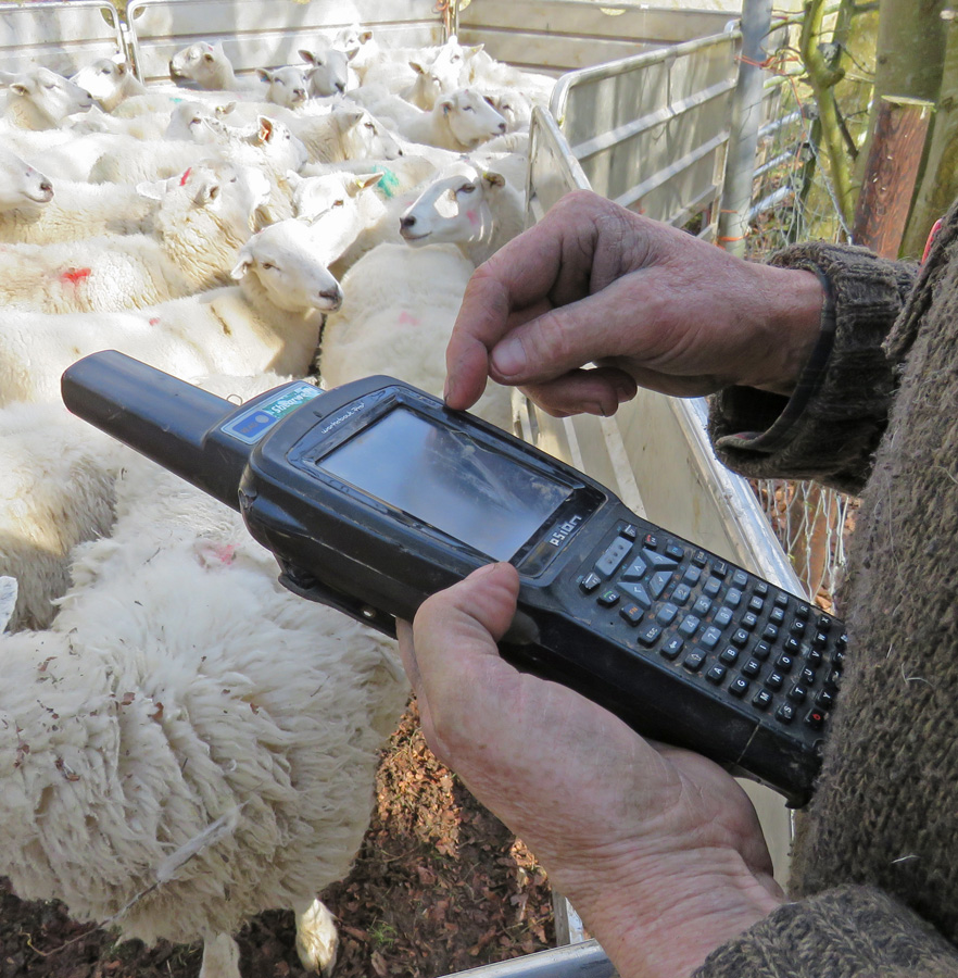 The handset