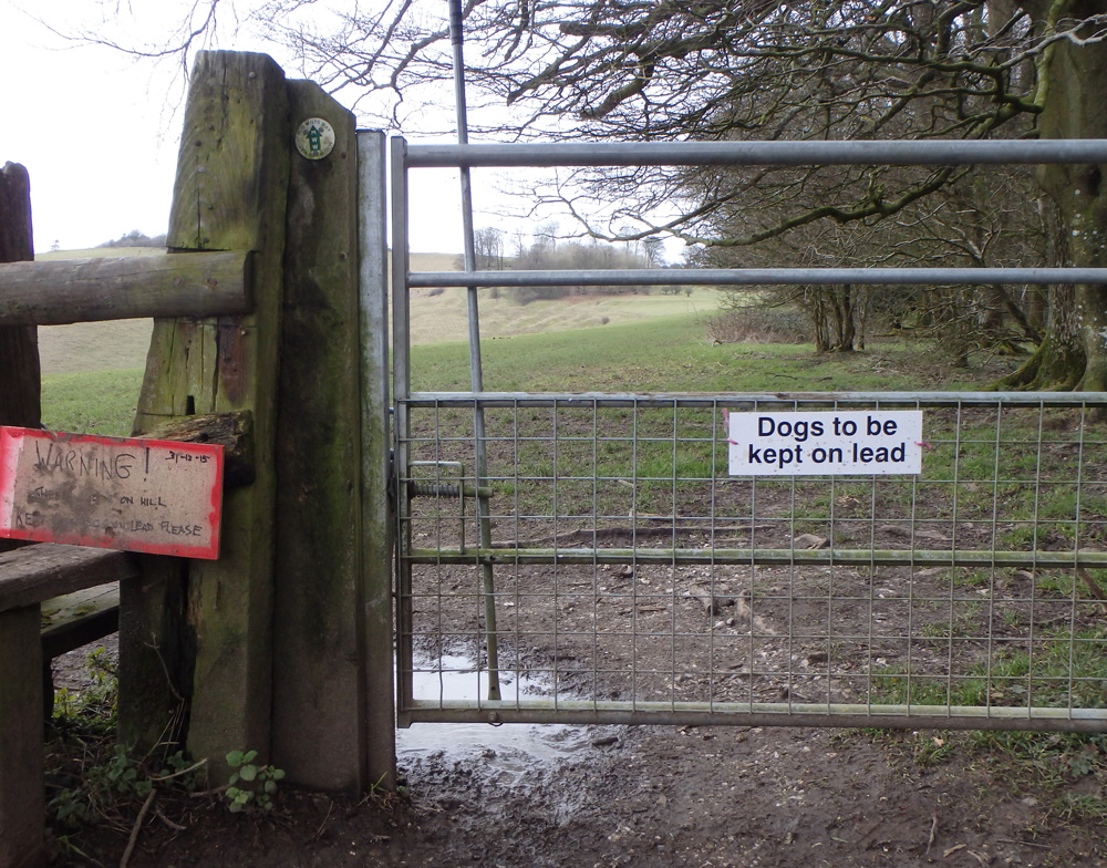 The gate into Martinsell Hill - with a defaced warning notice