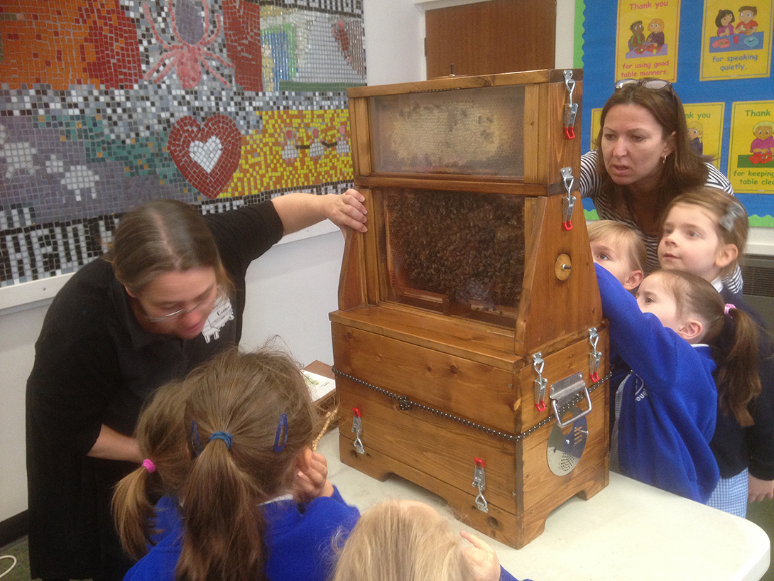 Beekeeper Fiona Robinson explains the workings of the hive to a group of eager children