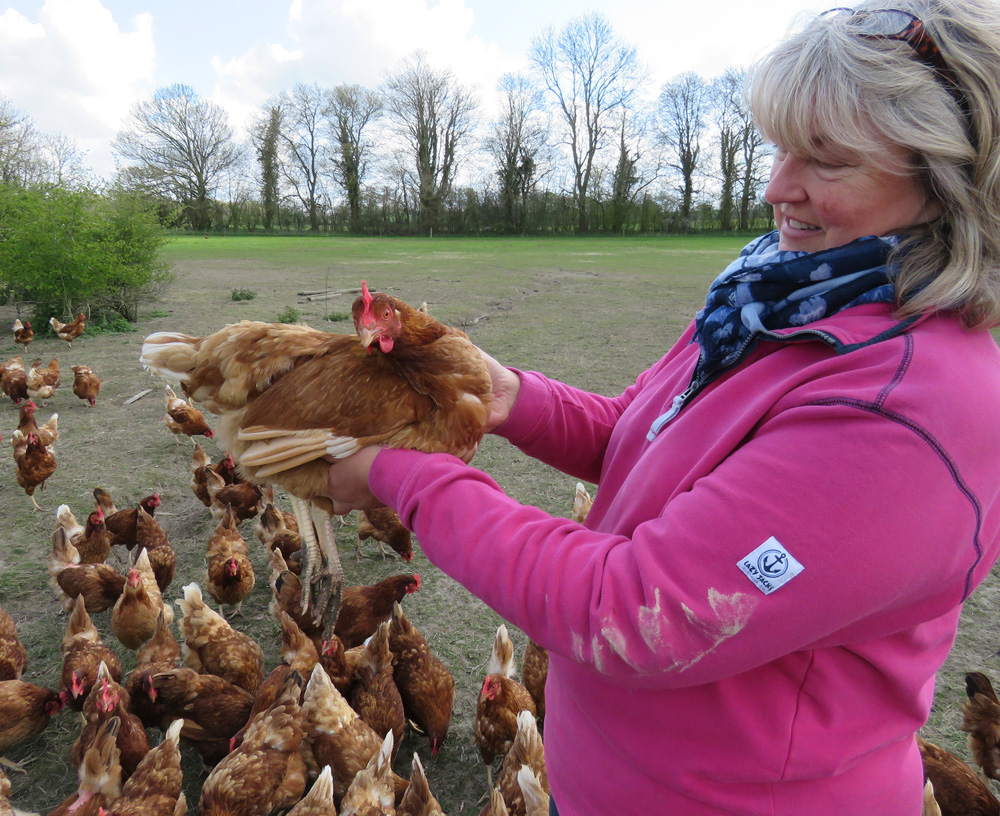 A British Black Tail