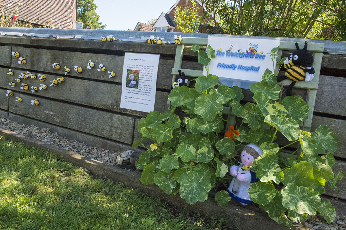 One of Marlborough's ten 't's Your Neighbourhood' entries - the Waterfront Bee Hospital in Kennet Place