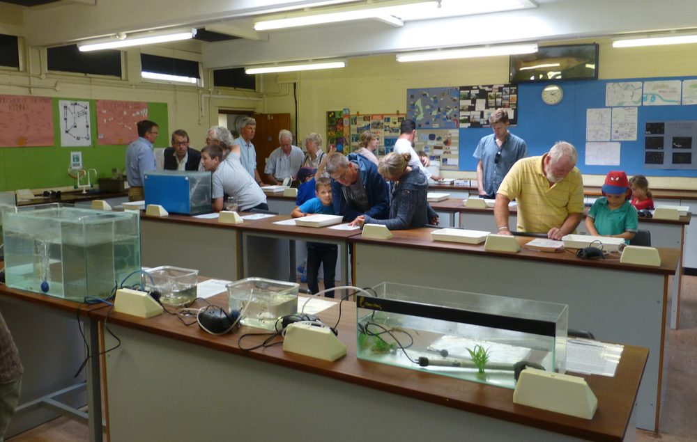 The Biology Lab