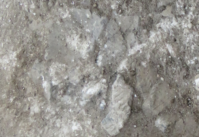 Pieces of the grooved ware pot