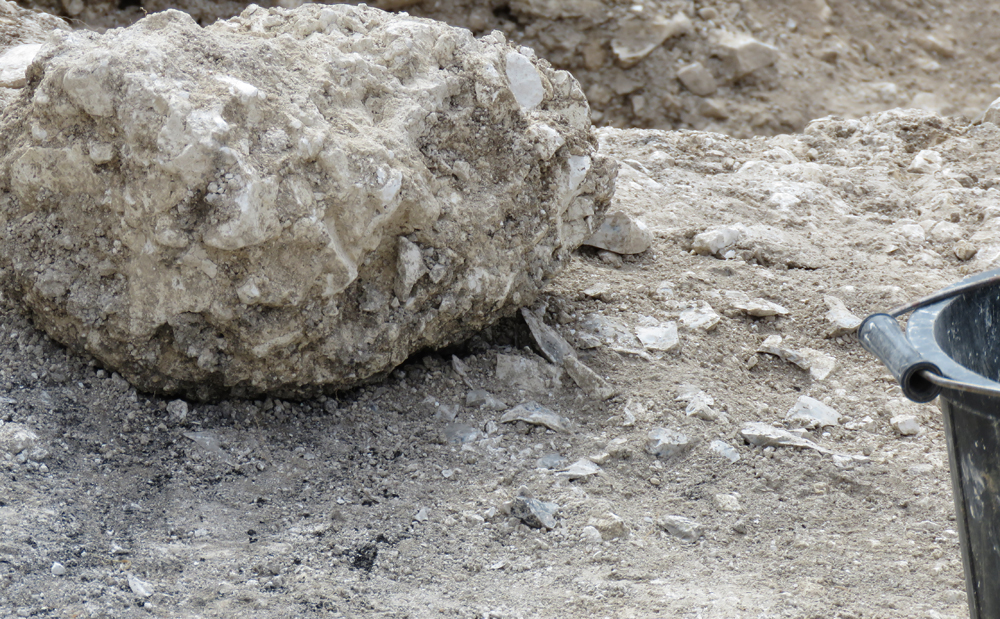 The site of a fire with a piece of cob and flakes of flint