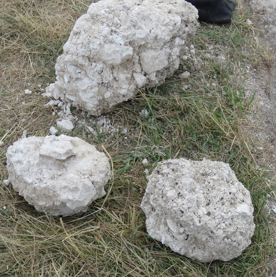 Pieces of chalk cob