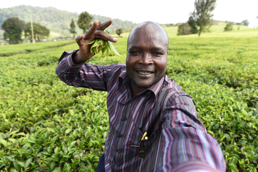 Patrick Kaberia Muthaura's selfie with tea bushes