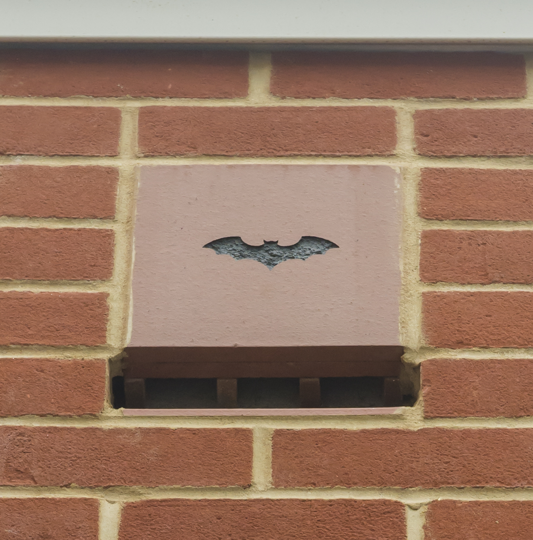 Bat Box
