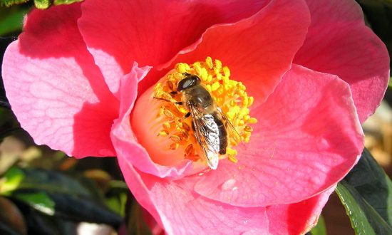 A bright and busy May morning (Photo: Eric Gilbert)