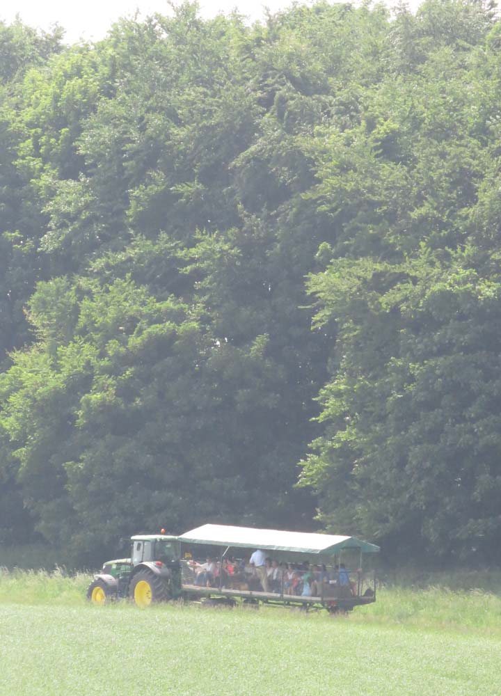 A tour of the farm by tractor & trailer