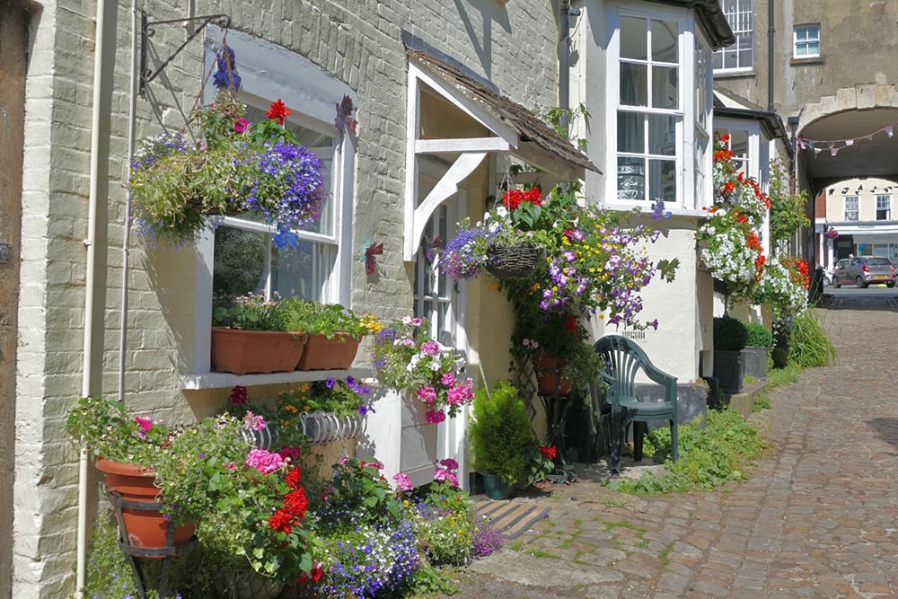 Floral displays in Alma Place