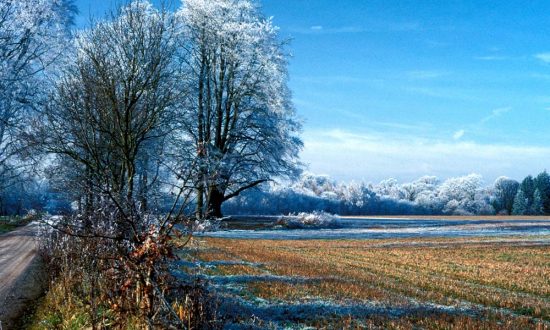 A winter scene near Marlborough at the turn of the century - will we have a repeat in January 2019? (Photo: Eric Gilbert)