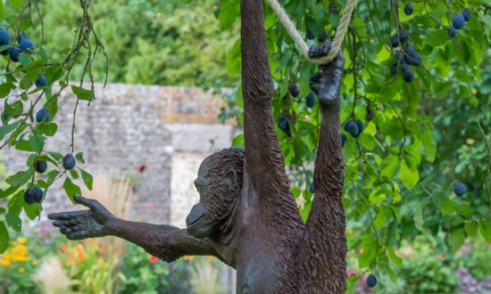 'Ginger' the monkey reaches out to grab a plum as she hangs from a tree in Avebury Manor's Orchard. By Stroud sculptor Martin Adamson