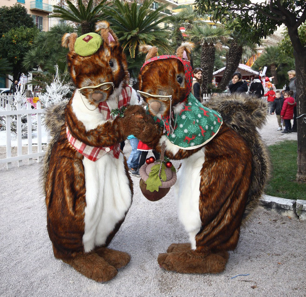 Mr and Mrs Nutkin are nuts about Christmas!