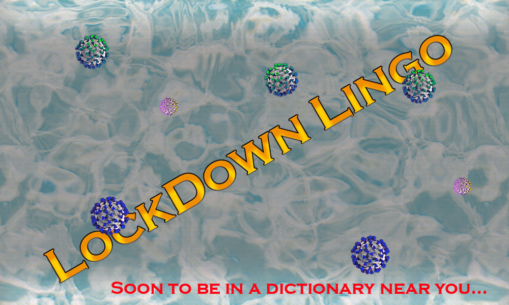 coronavirus covid-19 lockdown lingo