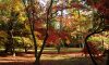 Westonbirt Arboretum on an early Autumn da