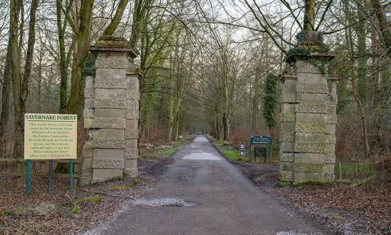Entrance to Savernake Forest from the A4 at the top of the Grand Avenue