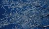 Marlborough.news November-frost eric gilbert