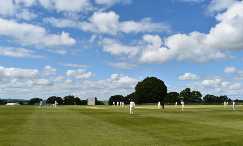 Marlborough Cricket Club's pitch at Savernake
